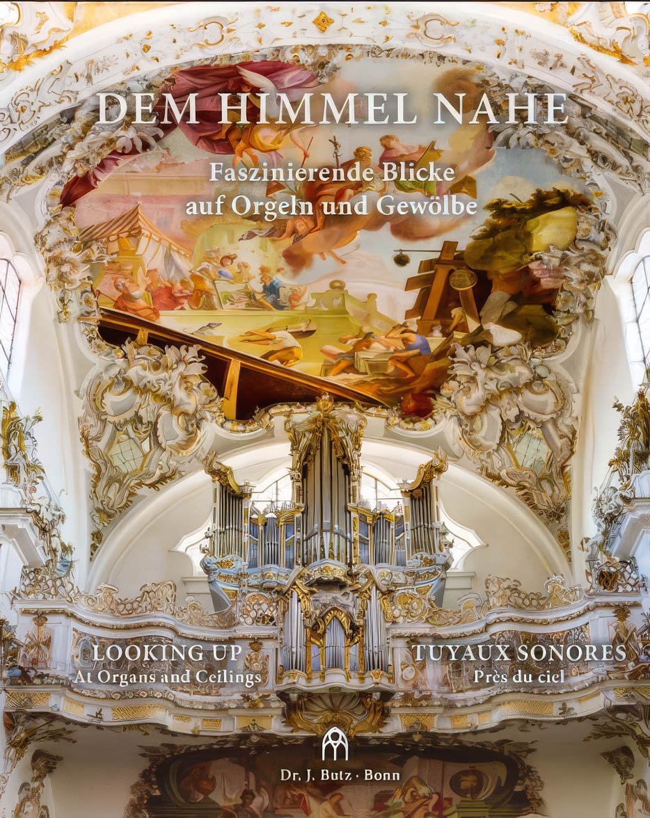 Dem Himmel Nahe cover Cover of the German edition of Looking Up