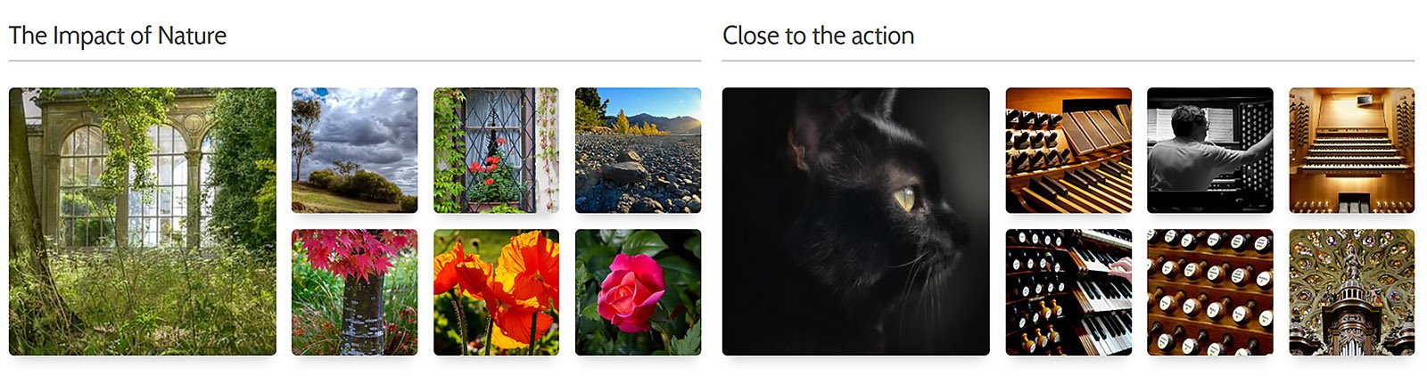 Fine Art America collections featuring Jenny Setchell’s nature and pipe organ photography