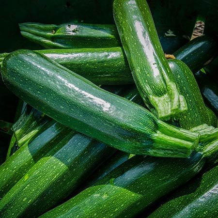 Zucchini Soup